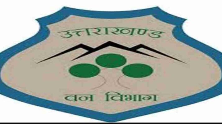 Big News: वन दरोगा ऑनलाइन 2021 परीक्षा में आज केस दर्ज, मुख्यमंत्री धामी के निर्देश पर हुई कार्रवाई 18 Hello Uttarakhand News »